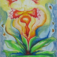 Freeing The Lost Soul