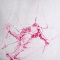 Study